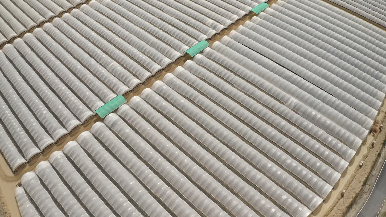 스페인의 대규모 온실 농장의 항공 영상