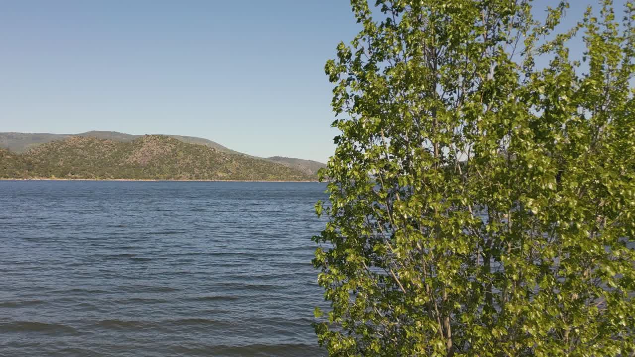 Reverse drone flight at a reservoir filled to capacity, passing by a tree partially submerged in the water. Beautiful morning light and calm atmosphere captured in stunning slow motion.
