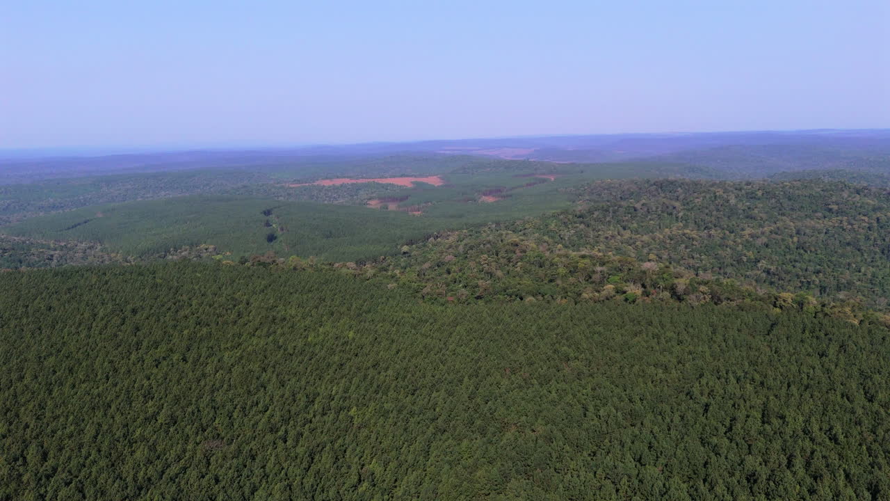 Aerial view above dense lush saturated forest at clear daylight blue horizon, skyline