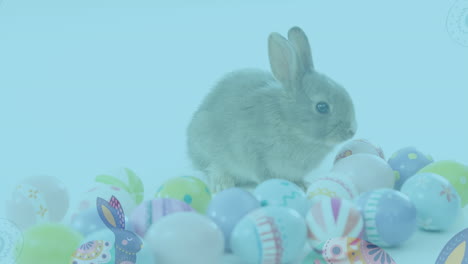 diseño de patrón de pascua decorativo contra el conejo de pascua y los huevos de pascua decorativos