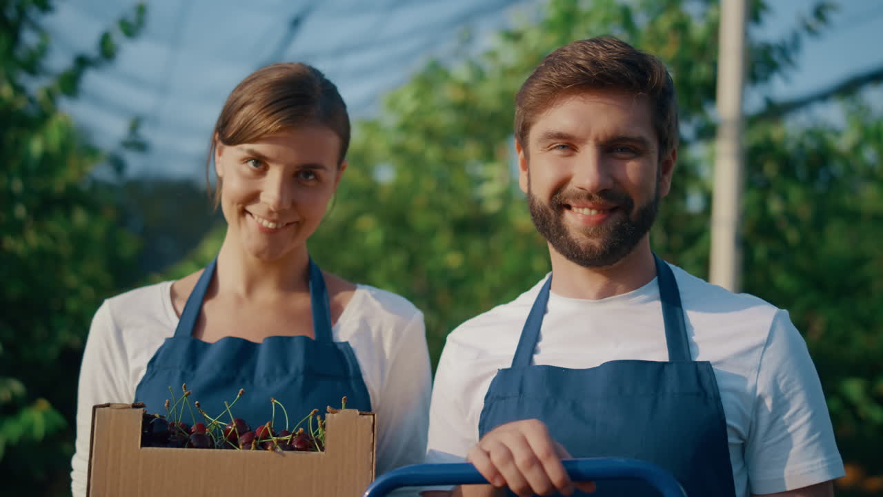 una pareja de agricultores de negocios sonrientes presentan el cultivo de cerezas cosechadas en el huerto.