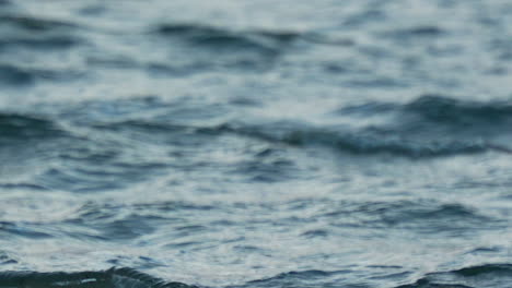 primer plano de las olas rítmicas que se forman en el agua del océano