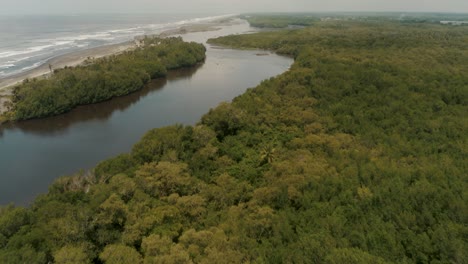 Exuberante-Bosque-De-Manglares-Con-Rivermouth-En-El-Paredon,-Guatemala