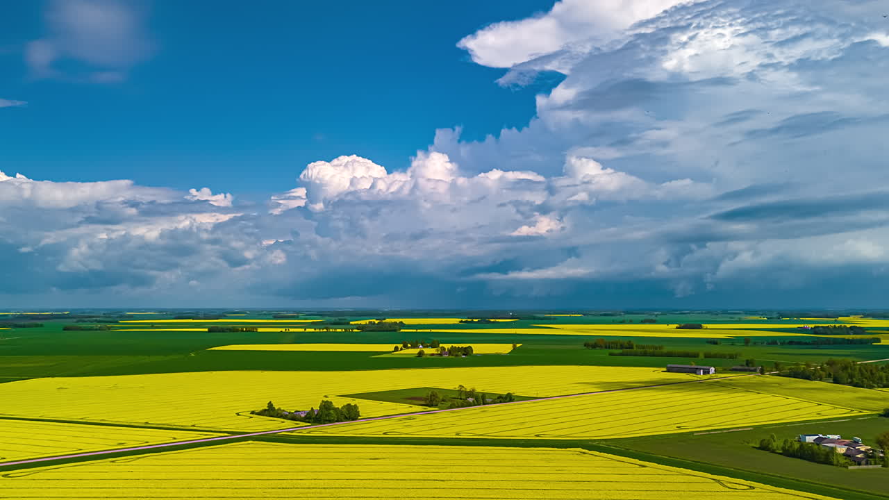 Golden Canola Fields Lie Beneath Towering Storm Clouds - Timelapse