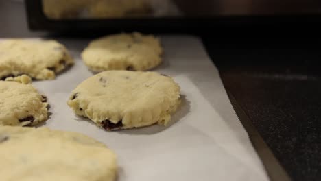 Toma-Panorámica-Que-Revela-Bandejas-Sobre-Bollos-De-Fruta-Cruda-Listos-Para-Ir-Al-Horno