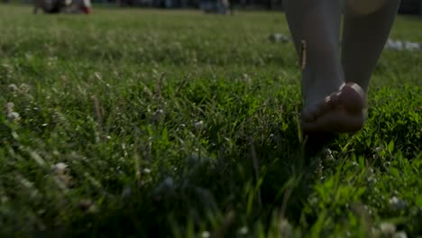slow-motion of a woman walking barefooted on the grass towards the following camera on a sunny summer day