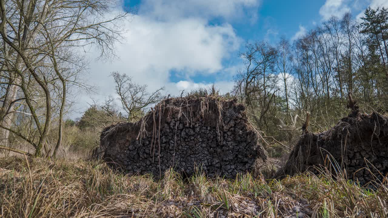 hermoso lapso de tiempo de nubes pasando, los árboles están en primer plano