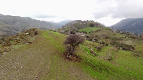 Escénica-Calmante-Ladera-Cubierta-De-Hierba-En-Las-Montañas