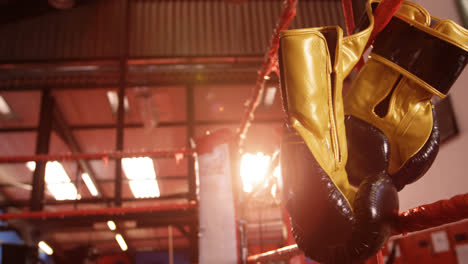 Pair-of-boxing-gloves-hanging-on-boxing-ring