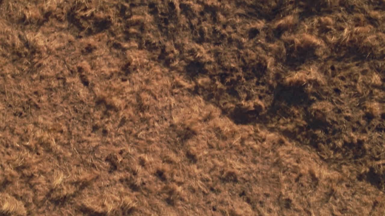 vista de ángulo alto del campo desierto inclinándose hacia el horizonte revelando montañas en el fondo