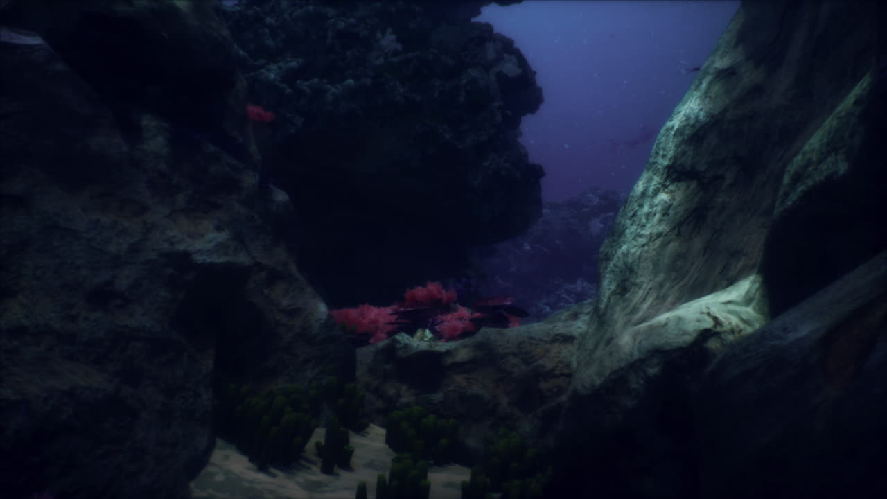 Escena de arrecife de coral submarino