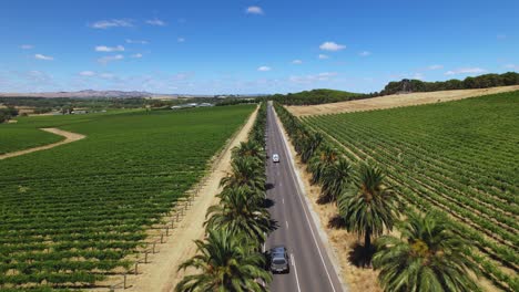 A-4K-drone-shot-of-a-camper-van-driving-down-a-long-straight-road-in-Barossa-Valley,-South-Australia