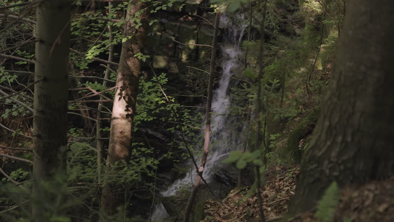 울창한 숲 속에 숨겨진 폭포