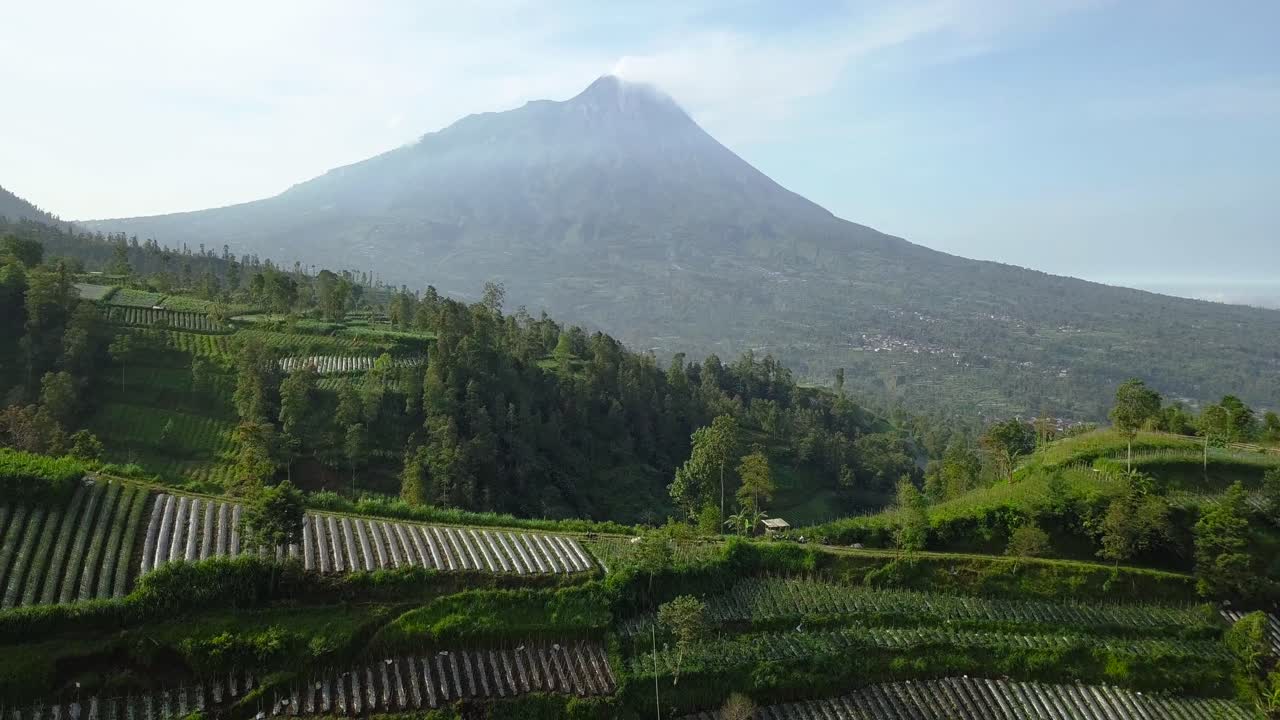 volcán merapi con vista rural de la plantación que plantó brócoli, repollo, papas y cebollas verdes, java central, indonesia