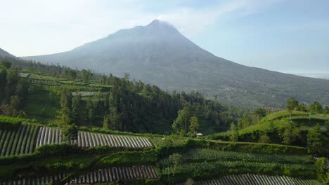 merapi volcano with rural view of plantation that planted with brocolli, cabbage, potatoes and green onions, central java, indonesia