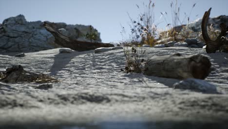 white sand beach near rocky cliffs at ocean