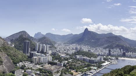 cityscape with iconic statue and harbor view