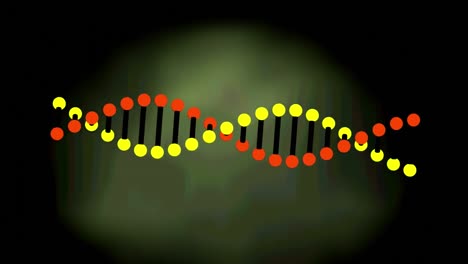 animación de la cadena de adn girando sobre un fondo verde
