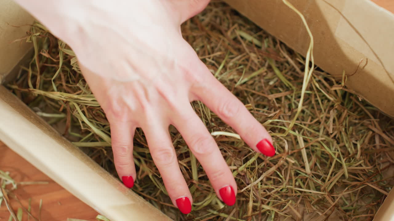 Decorator hand with red nails arranging dry grass inside cardboard box, focusing on natural rustic materials, packaging process, handmade craft, detail shot highlighting creative preparation for decoration