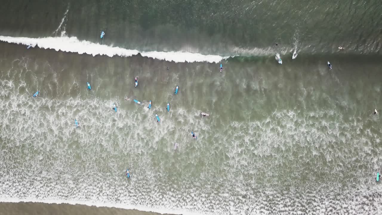 surfistas en el océano
