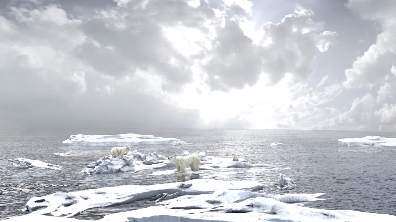 녹는 얼음 위에 있는 북극