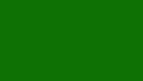 elemento de animación de efecto visual de fuego real en fondo de pantalla verde