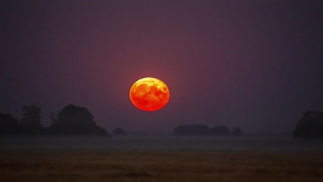 the super moon rises over the trees on the horizon and glows - zoomed in detail of craters in a time lapse