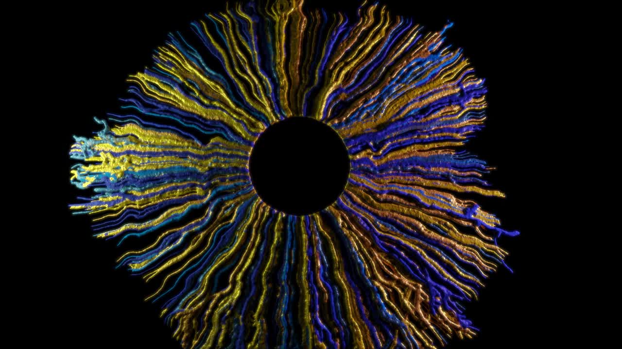 formación del iris en 3d