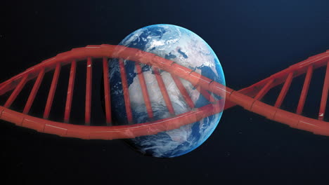 animation of red dna strand with glowing light trails spinning over globe on black background