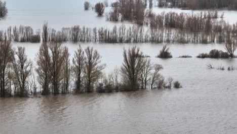 las aguas de inundación de un río desbordado que sumerge árboles en el campo
