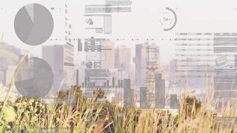 Animation-of-multiple-graphs-and-trading-board-over-close-up-of-grass-against-modern-city