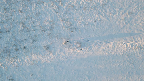 man walking through snow-covered field, top down aerial view