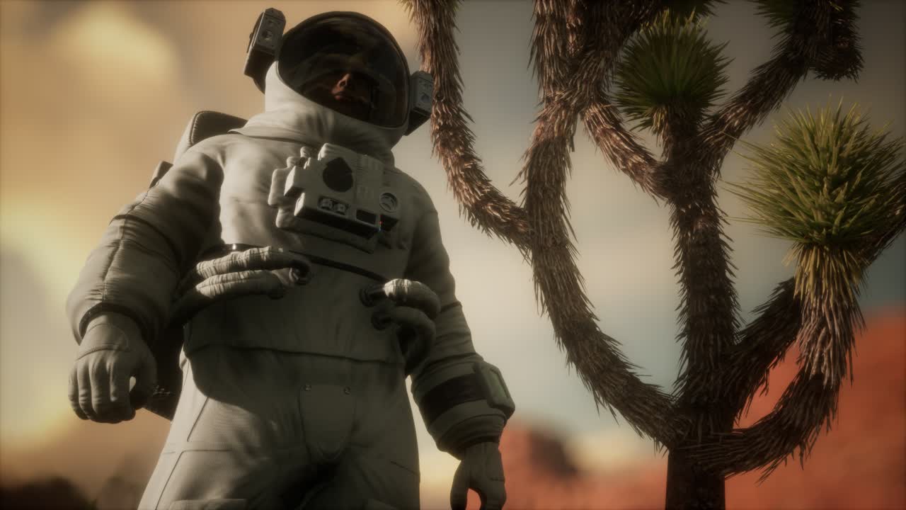 Astronaut i Nevadas høje ørken
