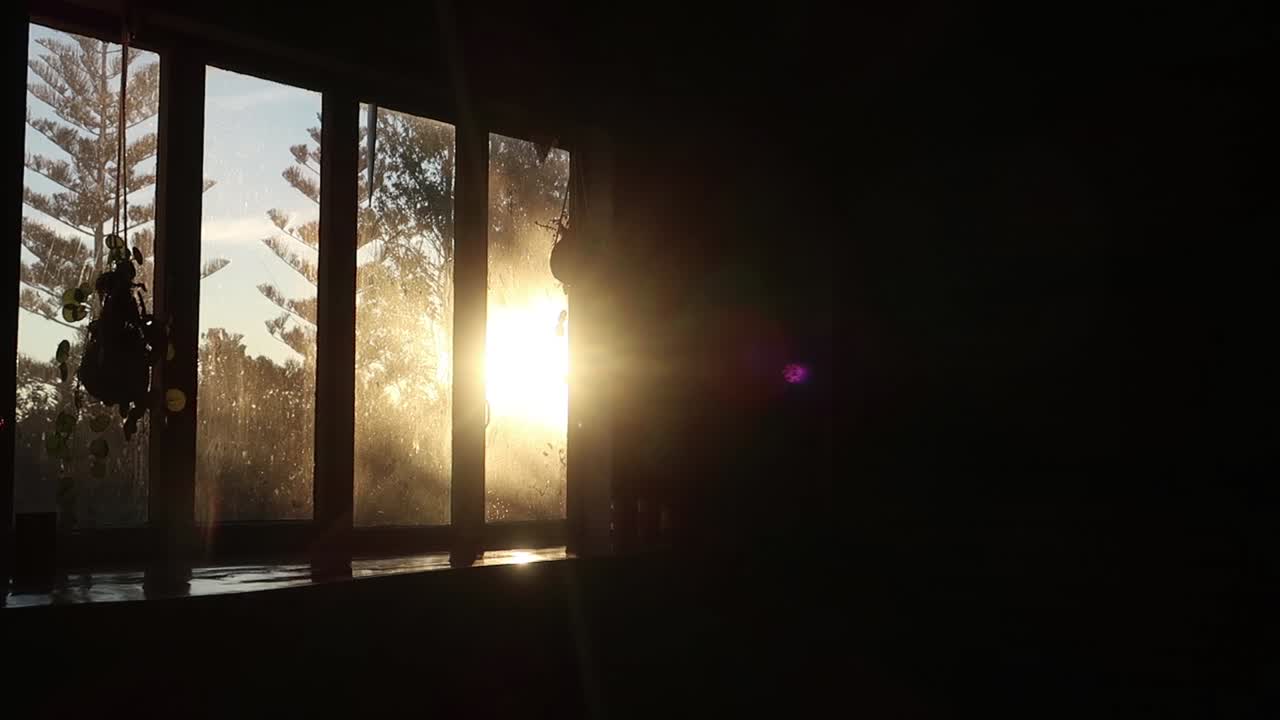 Sun coming through windows and nature