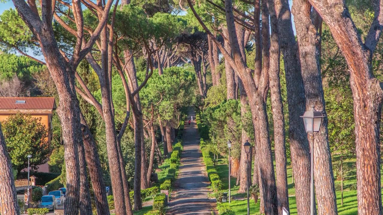Parco di Villa Doria Pamphili nella splendida città di Albano Laziale timelapse, Italia. Alberi verdi e luce calda