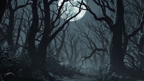 spooky forest at night with full moon