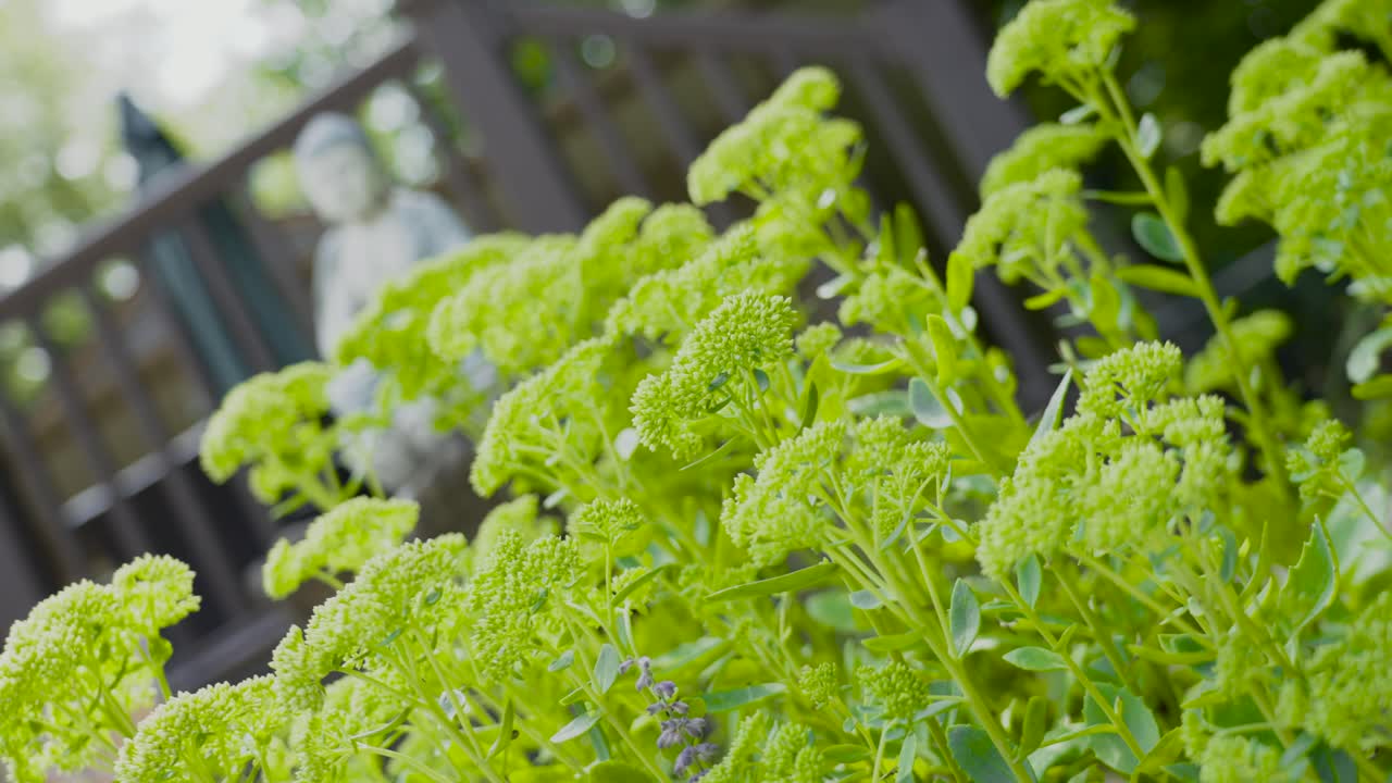 카메라 소용돌이가 회전하는 동안 뒤로 당기고