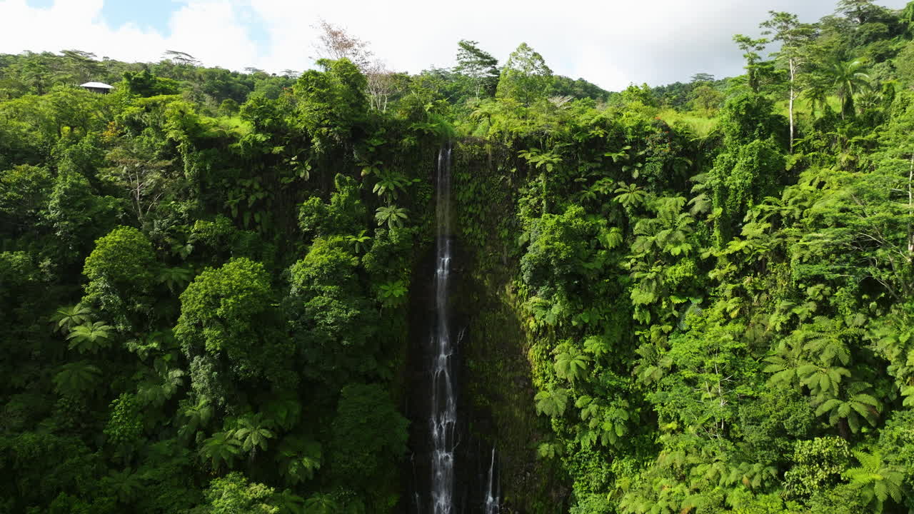 exuberante selva tropical y cataratas papapapaitai en la isla de upolu, samoa - toma aérea de drones
