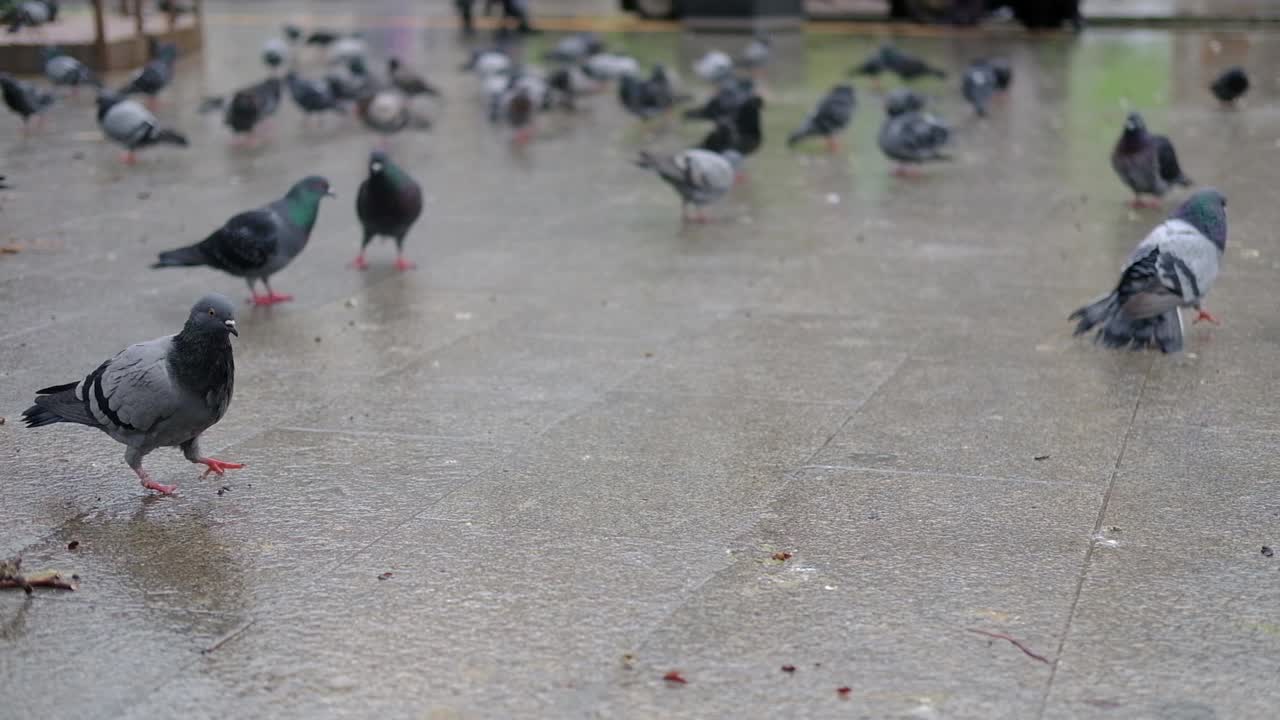 바다와 구름이 가득한 하늘의 나무 가지 1