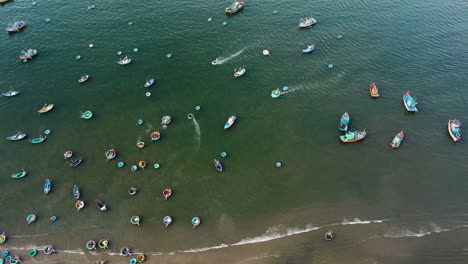 aerial top down, traditional vietnamese fishing boats moored close to beach shore