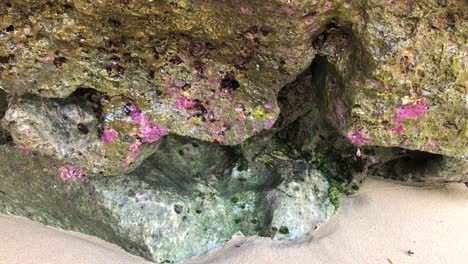 Cueva-De-Montaña-Rocosa-Púrpura-Y-Gris-Goteando-Agua-En-La-Playa-De-Green-Bowl-En-Uluwatu-Bali-Indonesia