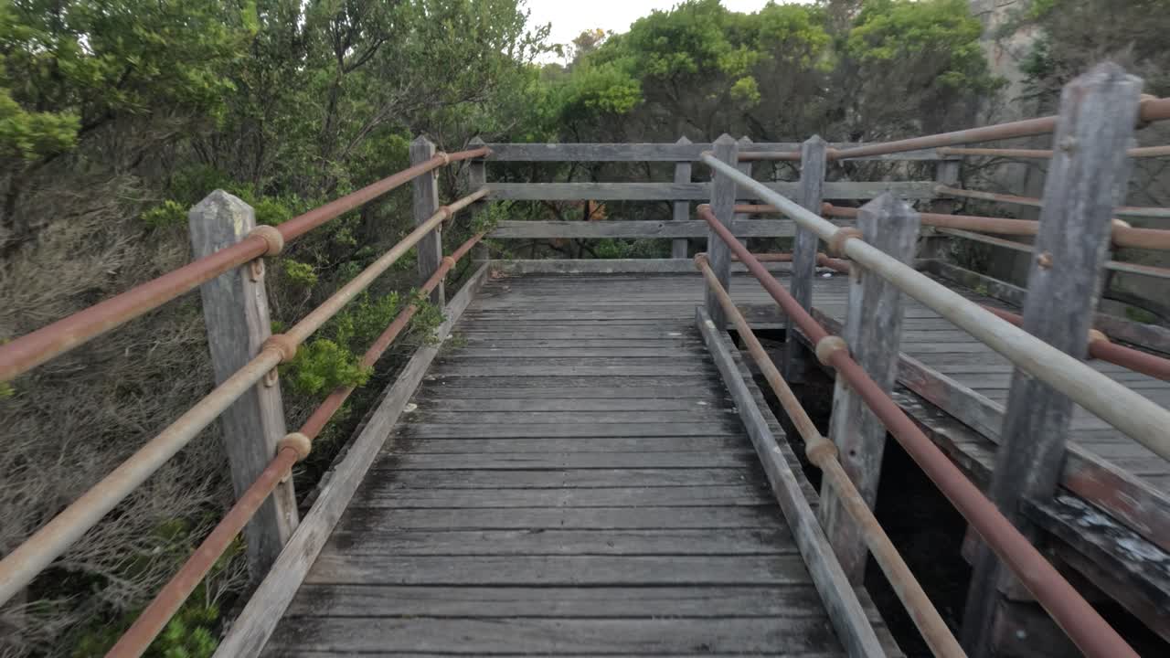 camino de puente de madera rodeado de exuberante vegetación
