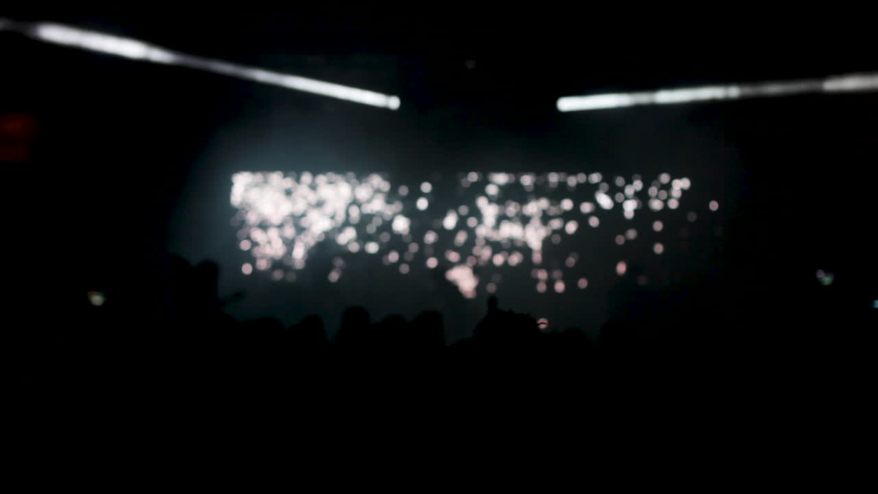 Concert Crowd Enjoying Live Music