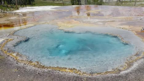 thermal pool in yellowstone park