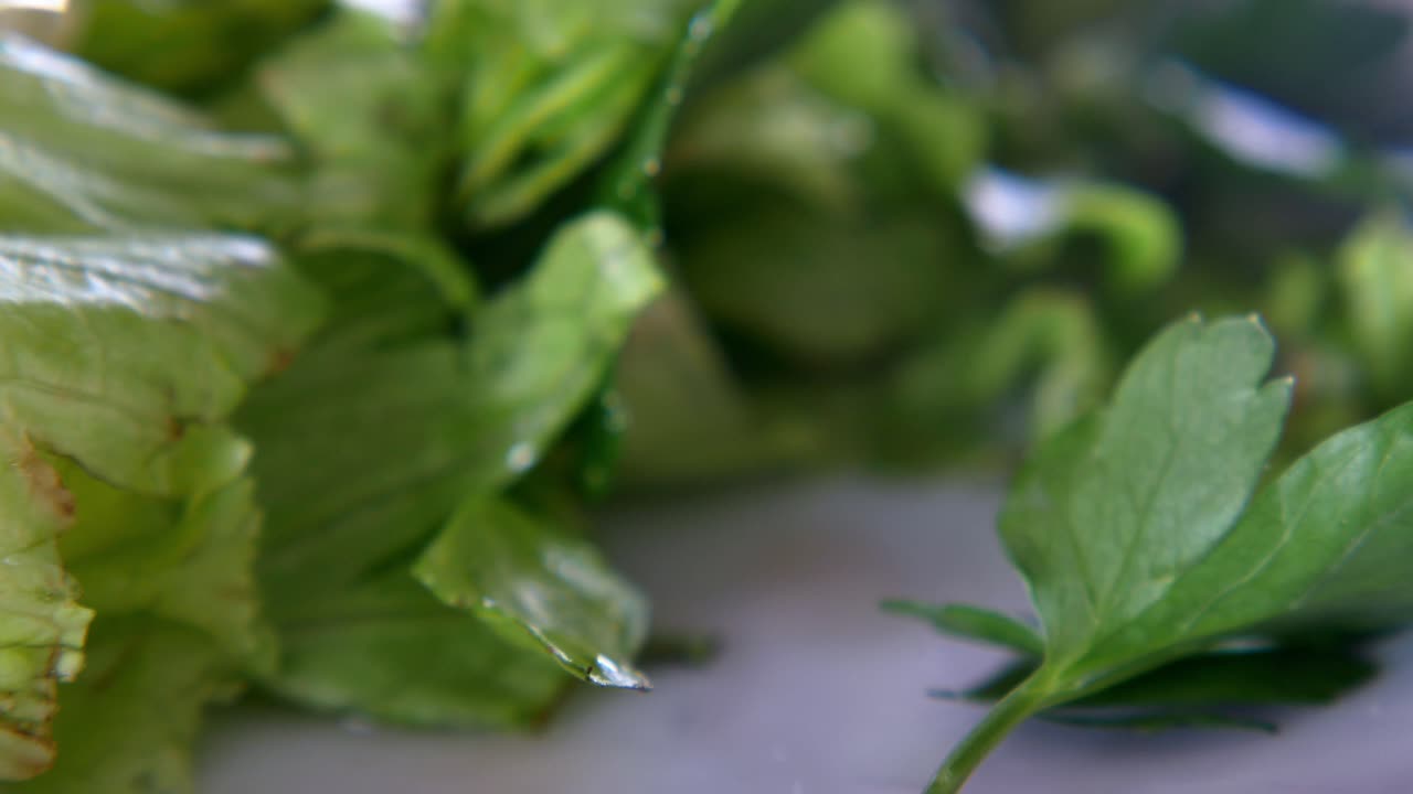 러드, 토마토, 파슬리 를 넣은 러드의 클로즈업