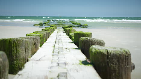 path leads up to vibrant green mossy rocks on beach