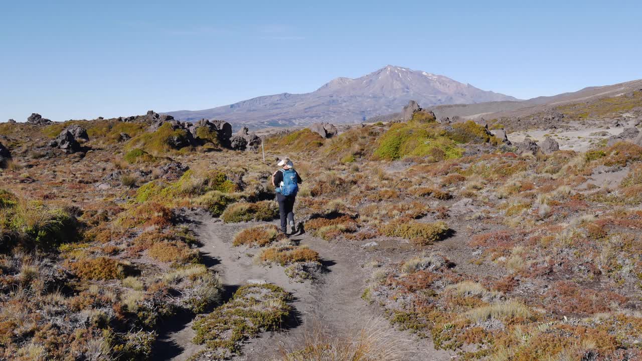mujer turista camina por el sendero te araroa en el parque nacional tongariro, nz