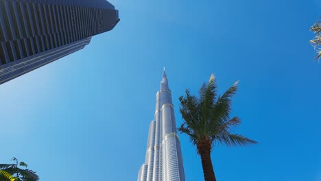 burj khalifa and palm trees in dubai