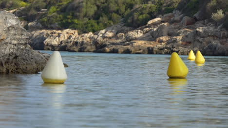 yellow conical navigation buoys indicating a channel for boats in a cove with sharp rocks and green vegetation