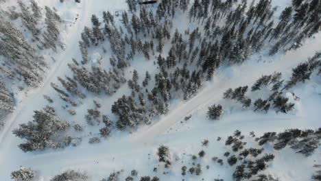 Snowscape-At-National-Forest-Park-With-Dense-Trees-And-Cottages-During-Winter-In-Inari,-Lapland,-Finland